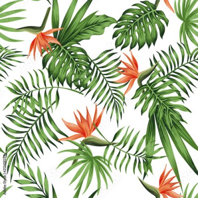 Papier peint  motif de fond blanc orange strelitzia