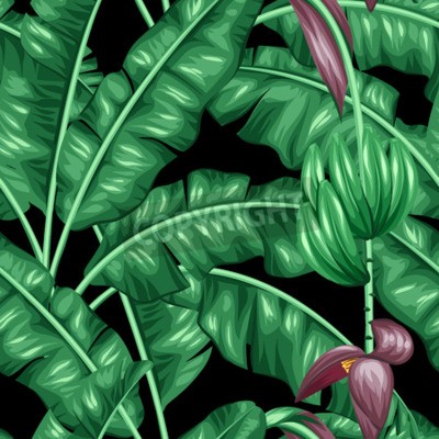 Papier peint  Motif de nature sur fond noir