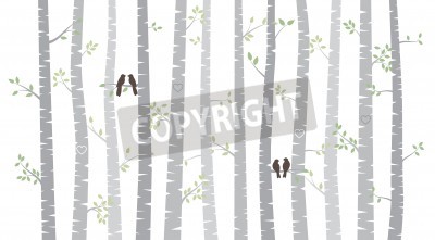 Papier peint  Motif délicat de bouleaux dans des tons gris