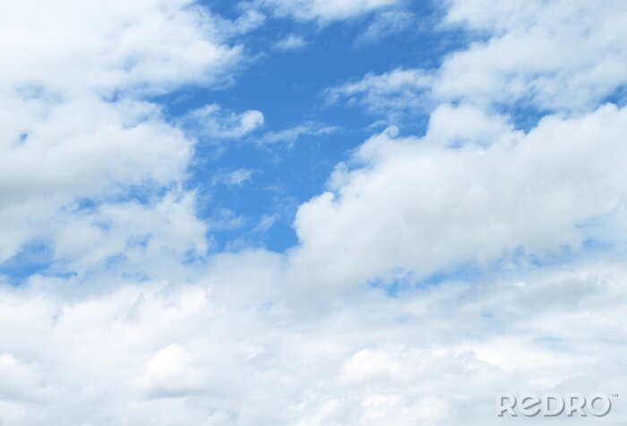 Papier peint  Motif délicat et ciel