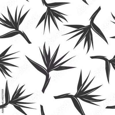 Papier peint  Motif en noir et blanc sans couture avec oiseau du paradis, strelitzia, fleur de grue exotique tropicale. Texture florale