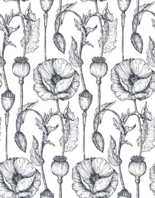 Motif esquissé coquelicots et têtes de pavot