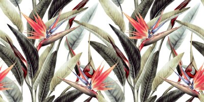 Papier peint à motif  Motif floral avec des feuilles tropicales et des fleurs de strelitzia sur fond blanc
