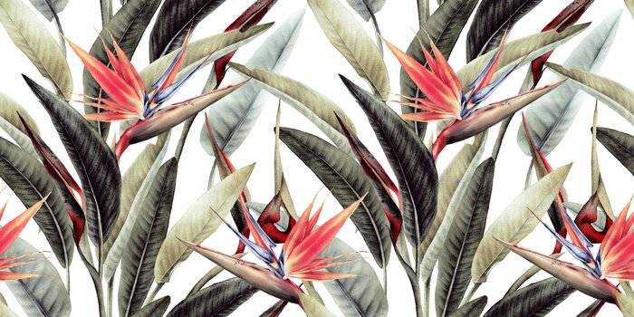 Papier peint  Motif floral avec des feuilles tropicales et des fleurs de strelitzia sur fond blanc