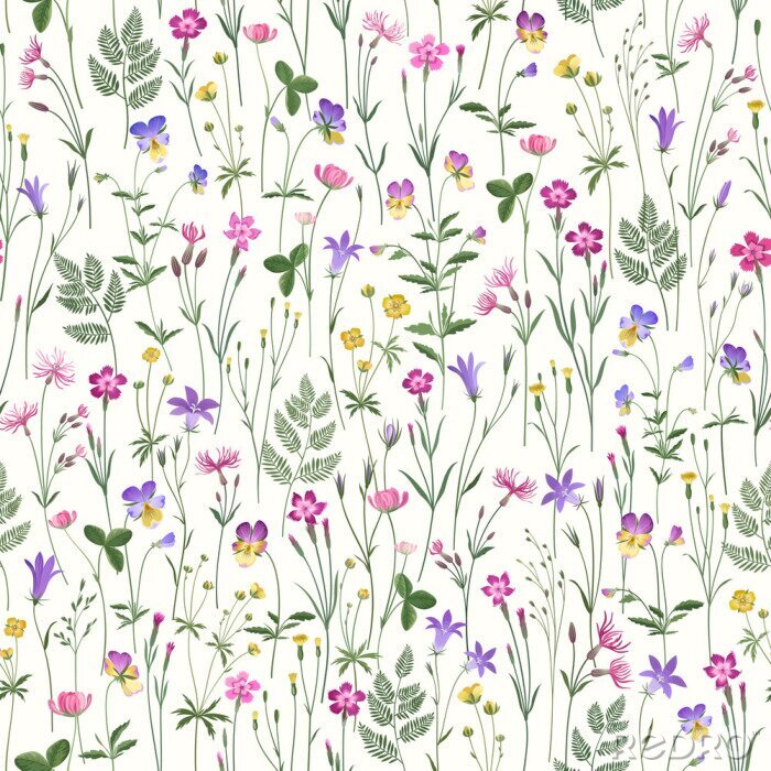 Papier peint  motif floral sans soudure décoratif avec des fleurs de la Prairie