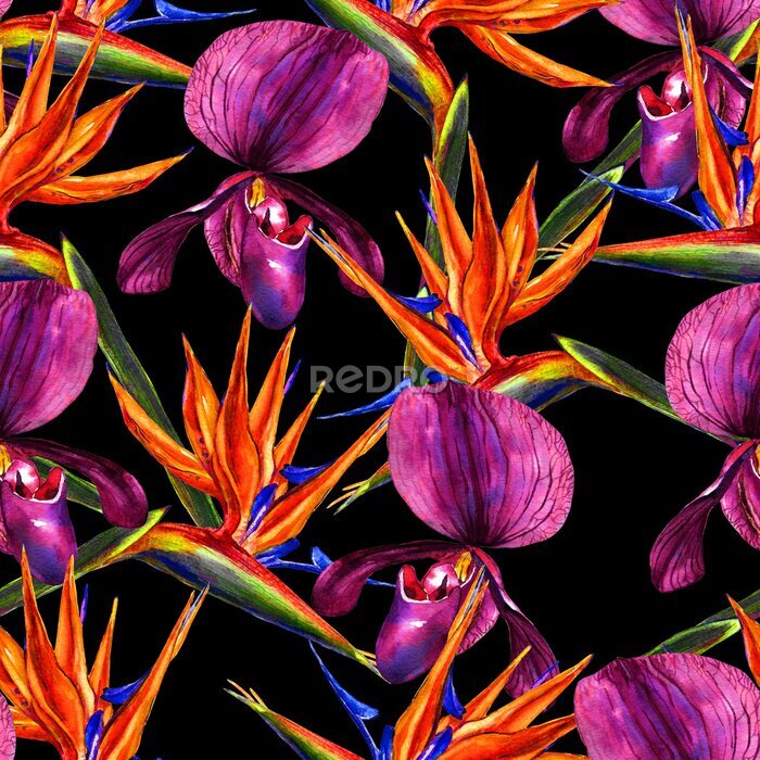 Papier peint  Motif floral tropicale sans couture. Orchidées exotiques aquarellées à la main et fleurs de strelitzia sur fond noir. Conception textile.