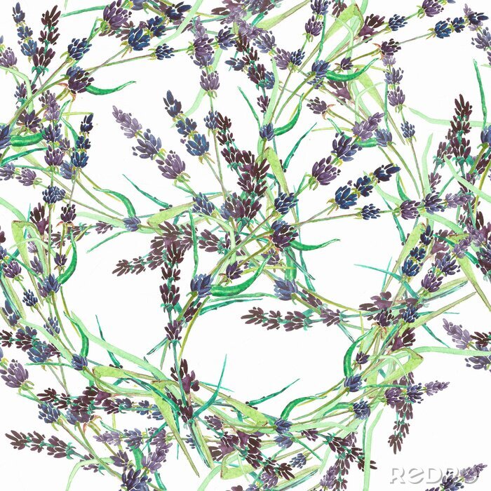 Papier peint  Motif lavande sur fond blanc
