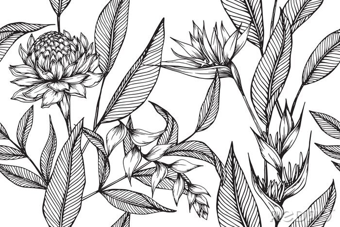 Papier peint  Motif minimaliste avec des plantes exotiques