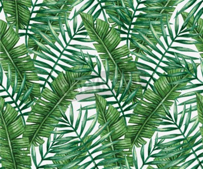 Papier peint  Motif nature tropicale