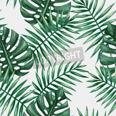 Papier peint  Motif naturel de la feuille