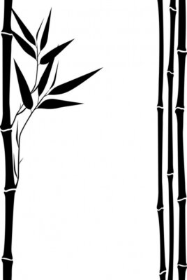 Papier peint  Motif noir et blanc avec bambou