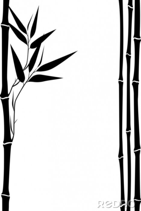Papier peint  Motif noir et blanc avec bambou