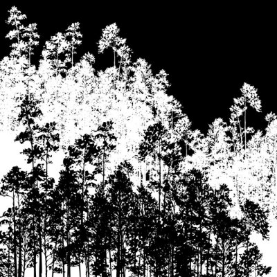 Papier peint  Motif noir et blanc avec des arbres