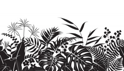 Papier peint  Motif noir et blanc avec des plantes