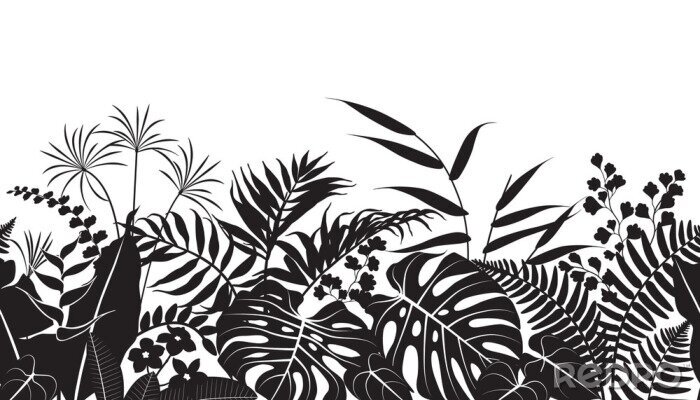 Papier peint  Motif noir et blanc avec des plantes