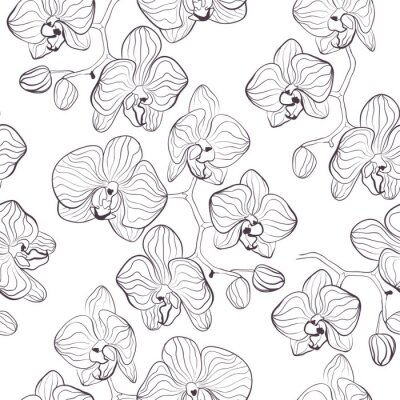 Papier peint  Motif orchidée minimaliste
