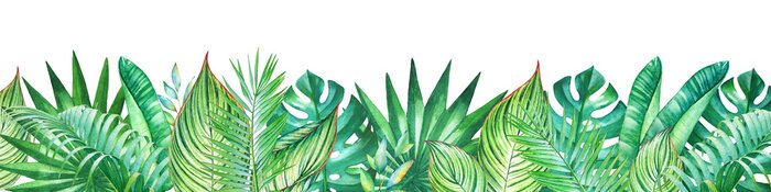 Papier peint  Motif panoramique avec des plantes