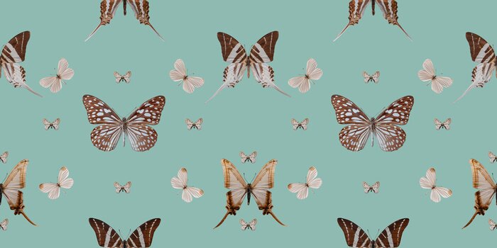 Papier peint  Motif papillon et style vintage