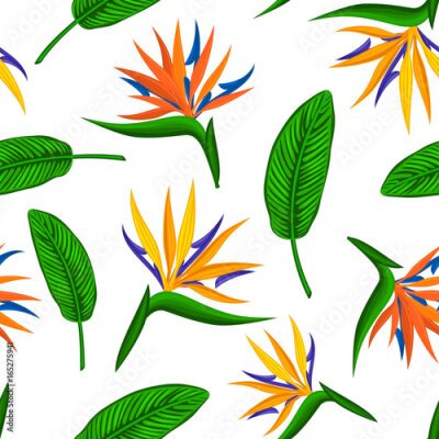 Papier peint  Motif sans couture avec une fleur exotique tropicale oiseau du paradis, strelitzia et feuilles. Feuilles végétales florales Texture sans fin répétable