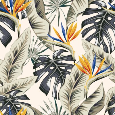 Papier peint  Motif tropical avec monstera et strelitzia