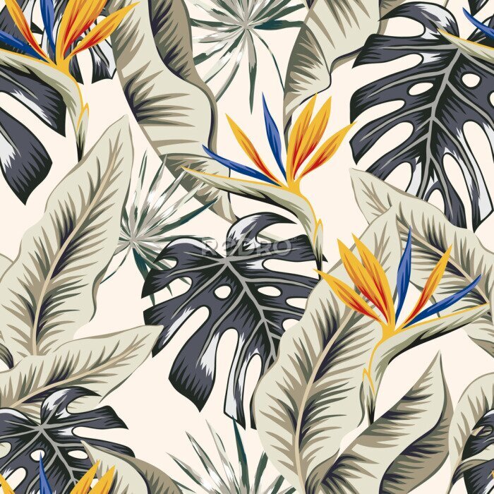 Papier peint  Motif tropical avec monstera et strelitzia
