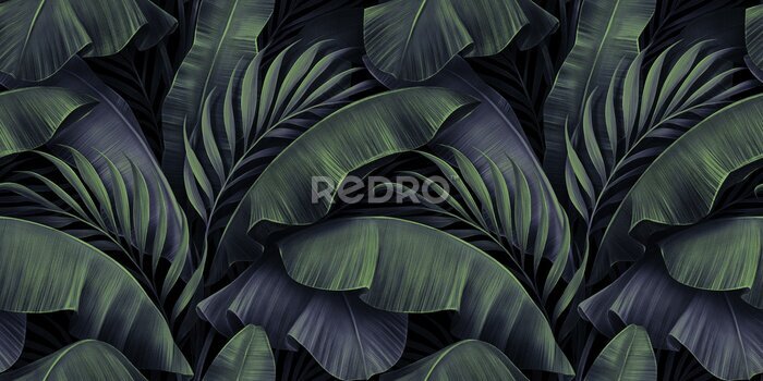 Papier peint  Motif tropical exotique avec des feuilles de palmier et de bananier