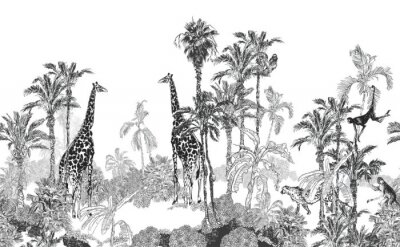 Papier peint  Motif tropical noir et blanc avec des girafes