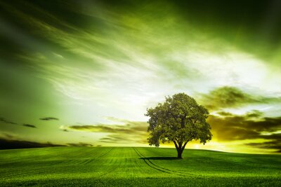 Papier peint  Motif vert avec arbre