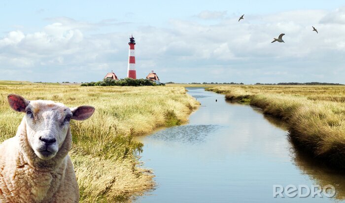 Papier peint  Mouton près d'un phare