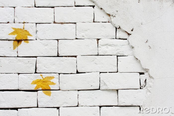 Papier peint  Mur blanc feuilles jaunes