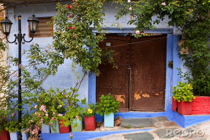 Papier peint  Mur bleu et pots de fleurs colorés