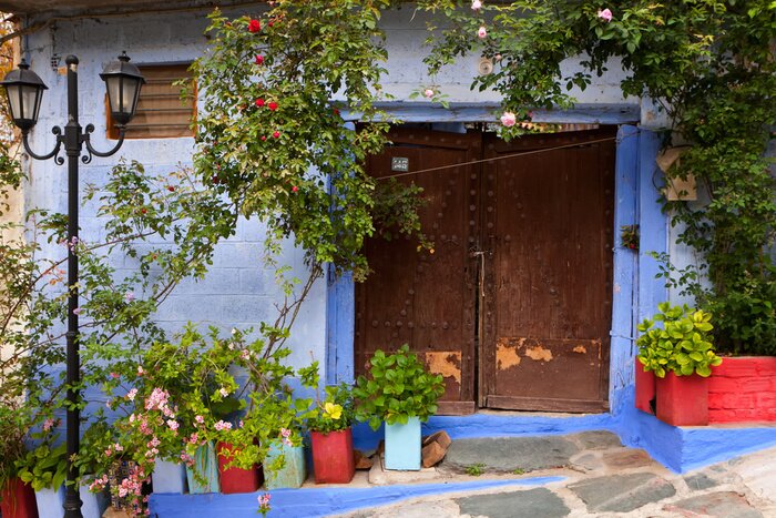Papier peint  Mur bleu et pots de fleurs colorés