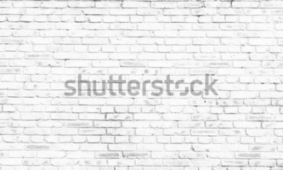 Papier peint  Mur briques  blanches