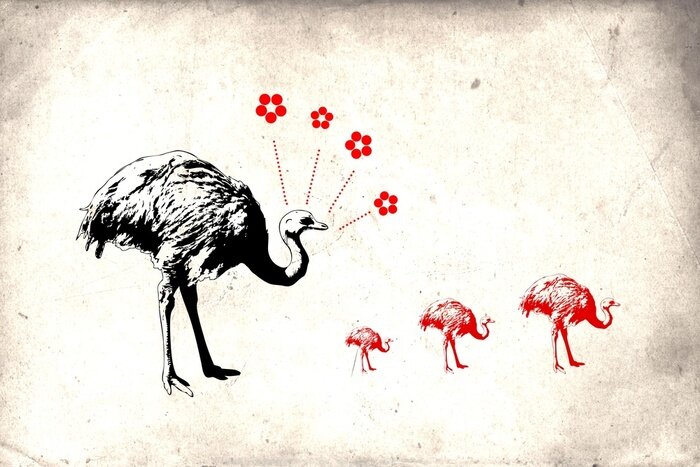 Papier peint  Mur et autruches peintes