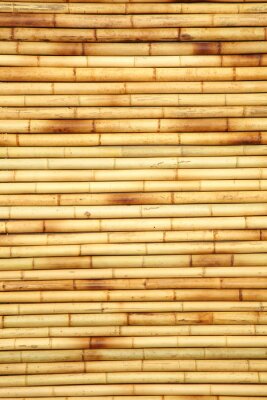 Papier peint  Mur horizontal en bambou