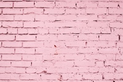 Papier peint  Mur rose