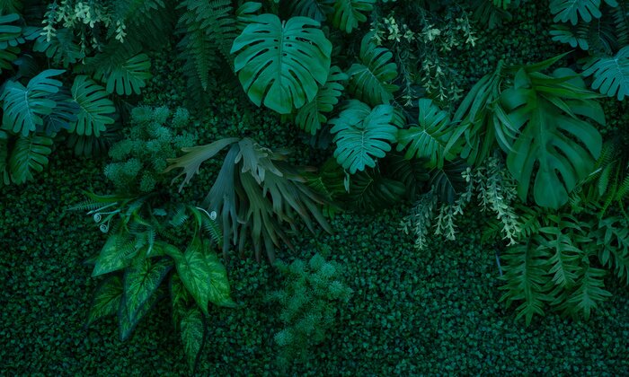 Papier peint  Mur vert foncé