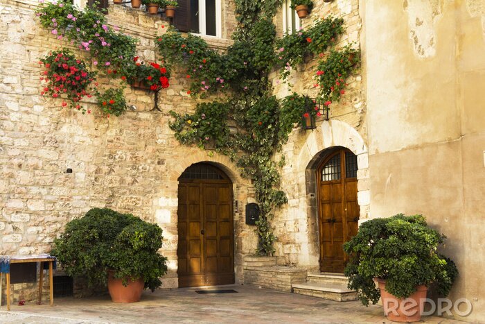 Papier peint  Murs beiges décor végétal