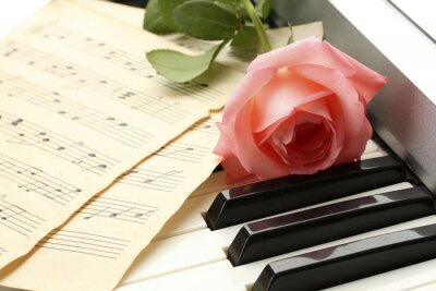 Papier peint  Musique piano et rose