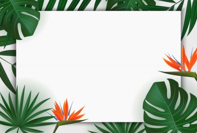 Papier peint  Natural Realistic Green Palm Leaf with Strelitzia Flower Tropical Background. illustration