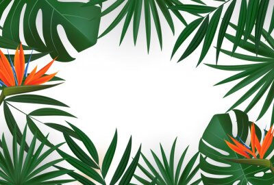 Papier peint  Natural Realistic Green Palm Leaf with Strelitzia Flower Tropical Background. illustration