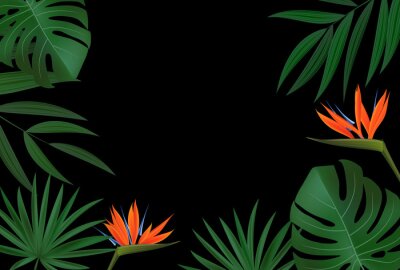 Papier peint  Natural Realistic Green Palm Leaf with Strelitzia Flower Tropical Background. illustration