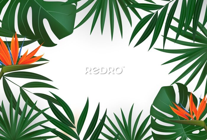 Papier peint  Natural Realistic Green Palm Leaf with Strelitzia Flower Tropical Background. illustration