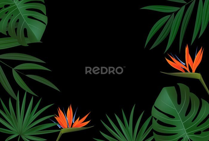Papier peint  Natural Realistic Green Palm Leaf with Strelitzia Flower Tropical Background. illustration