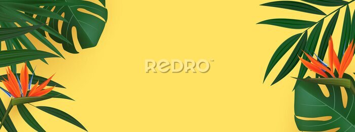 Papier peint  Natural Realistic Green Palm Leaf with Strelitzia Flower Tropical Background. illustration