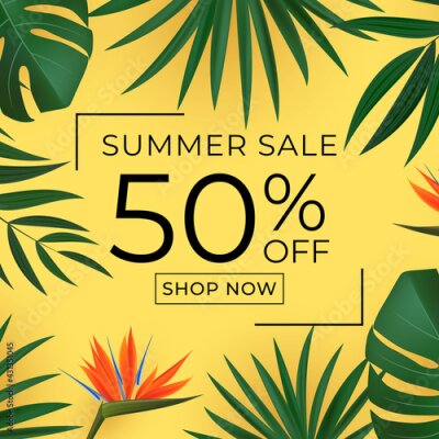 Papier peint  Natural Realistic Green Palm Leaf with Strelitzia Flower Tropical Background. Vector illustration