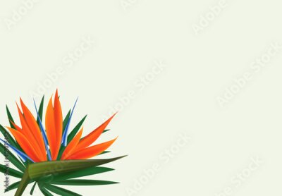 Papier peint  Natural Realistic Green Palm Leaf with Strelitzia Flower Tropical Background. Vector illustration EPS10