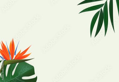 Papier peint  Natural Realistic Green Palm Leaf with Strelitzia Flower Tropical Background. Vector illustration EPS10