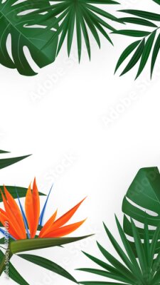 Papier peint  Natural Realistic Green Palm Leaf with Strelitzia Flower Tropical Background. Vector illustration EPS10