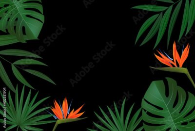 Papier peint  Natural Realistic Green Palm Leaf with Strelitzia Flower Tropical Background. Vector illustration EPS10